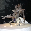 Nature History Museum