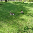 Hyde Park